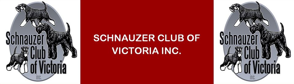 Schnauzer Club of Victoria Inc